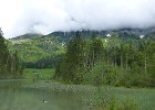 Tag 5 Abschied im Zauberwald